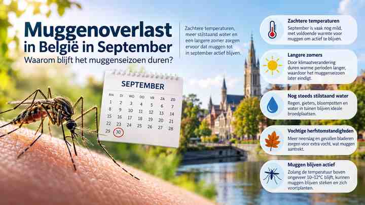 Why mosquito season can last into September