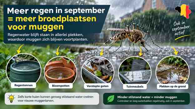 September rain can create more breeding sites, not fewer