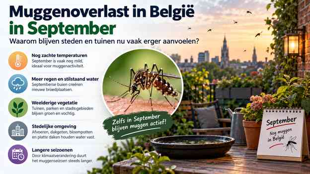 Why cities and gardens can feel worse in September