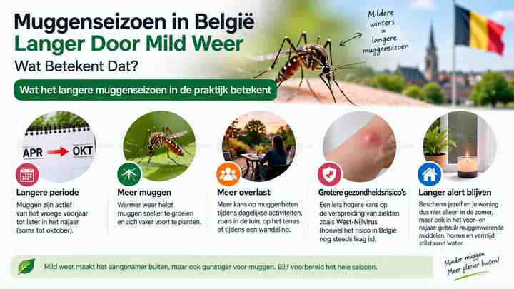 What the extended muggenseizoen België means in practice